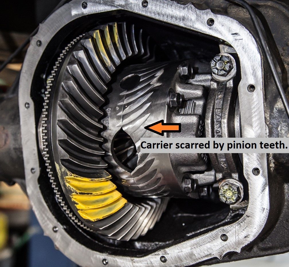 The Sounds Of Death A Failing Differential Story